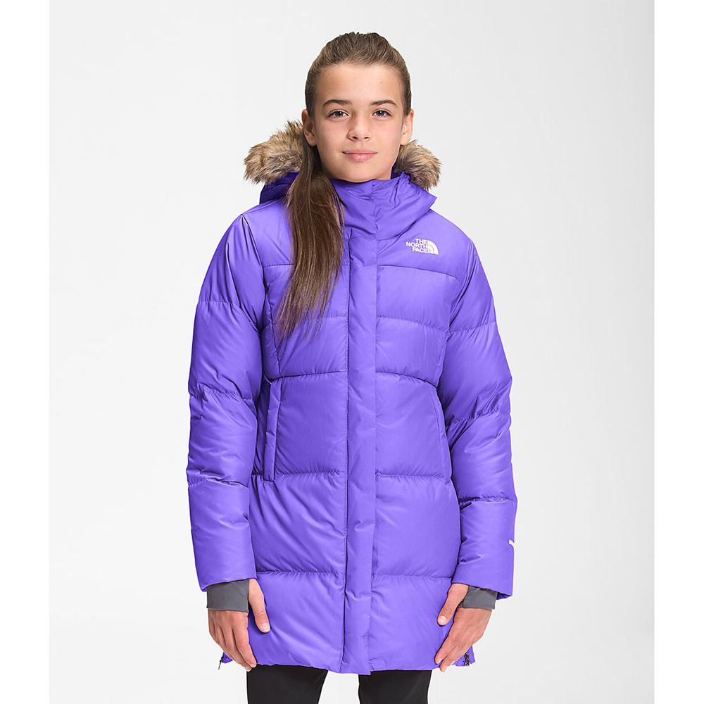 The North Face Parka Girls Australia - The North Face Dealio Fitted Purple (DUI-740983)